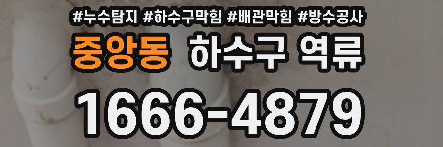 중앙동 하수구 역류
