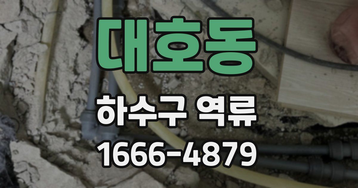 대호동 하수구 역류
