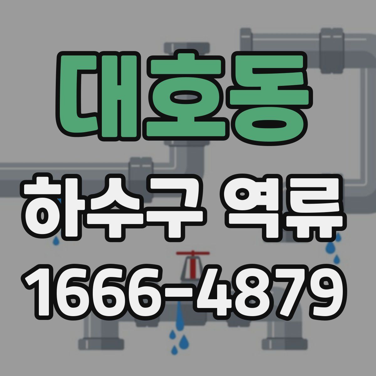 대호동 하수구 역류