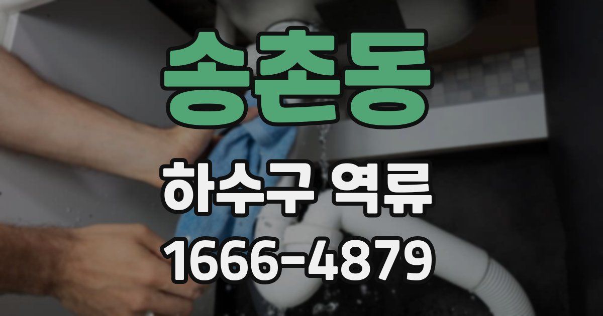 송촌동 하수구 역류