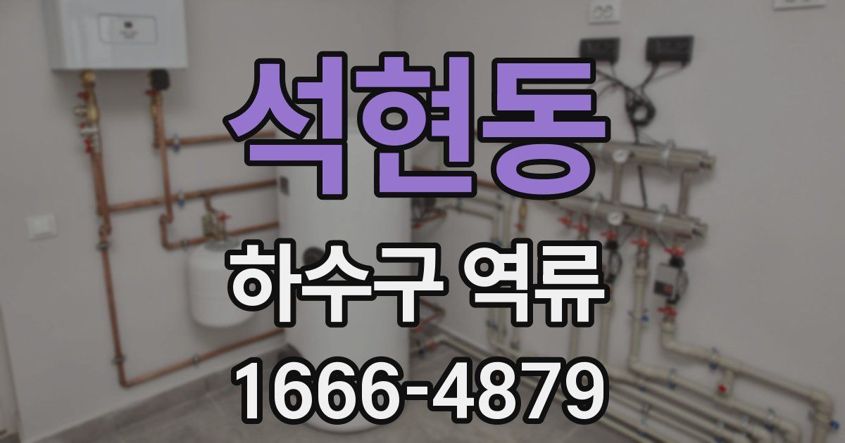 석현동 하수구 역류