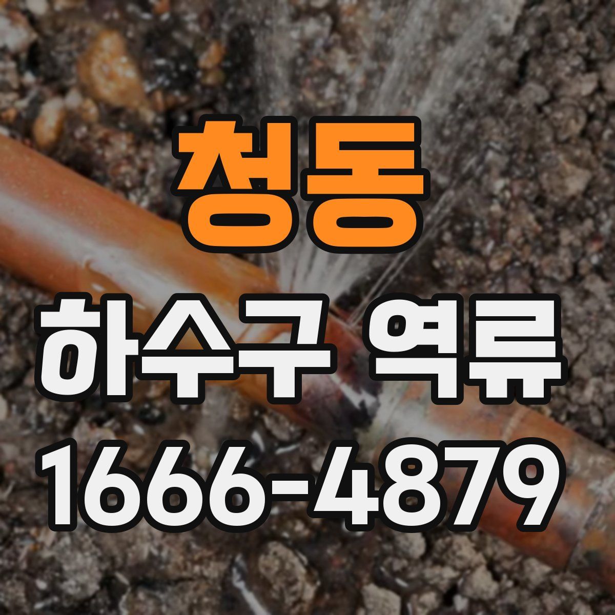 청동 하수구 역류