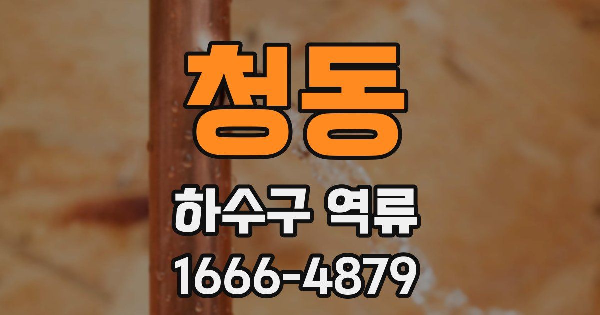 청동 하수구 역류