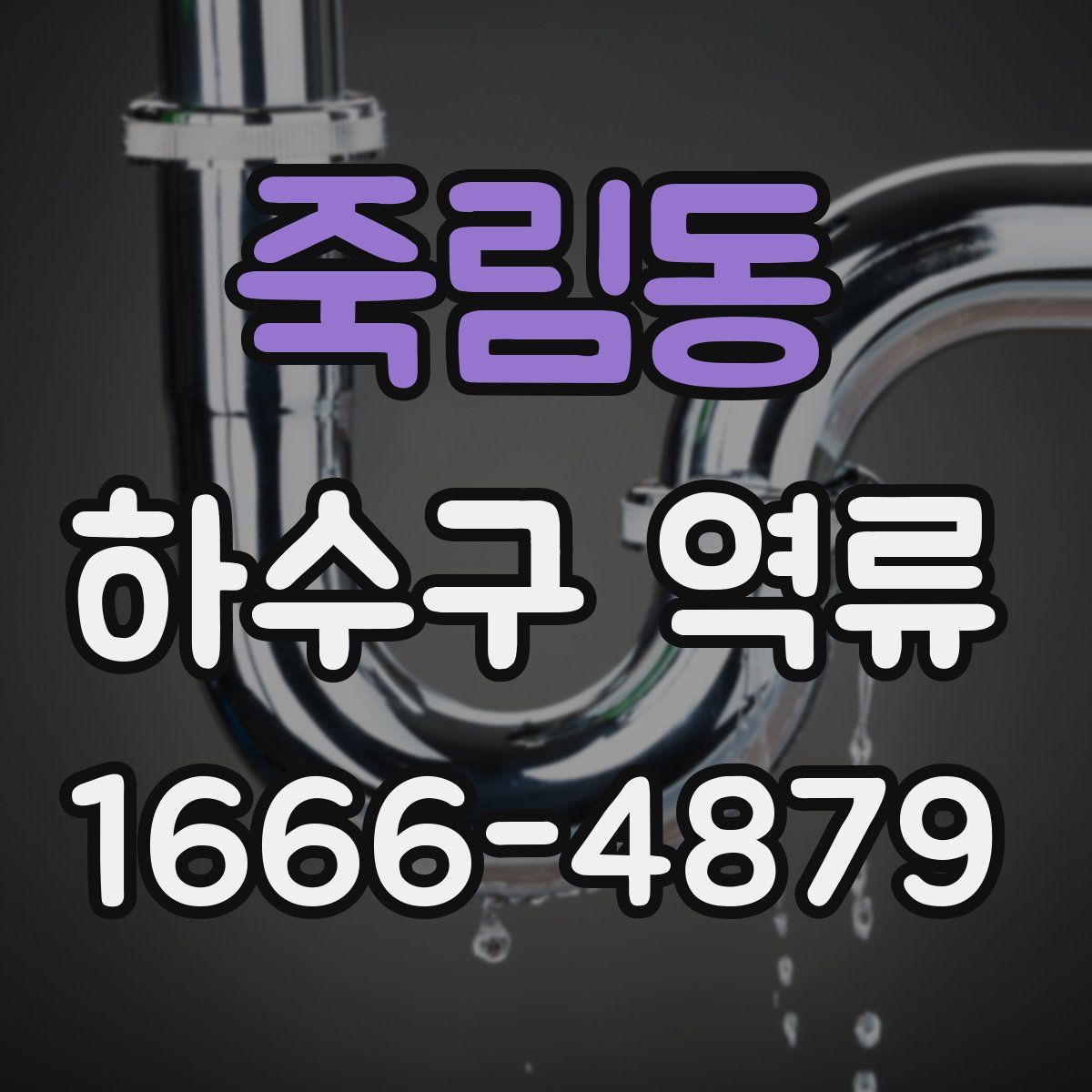죽림동 하수구 역류