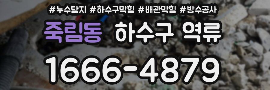 죽림동 하수구 역류