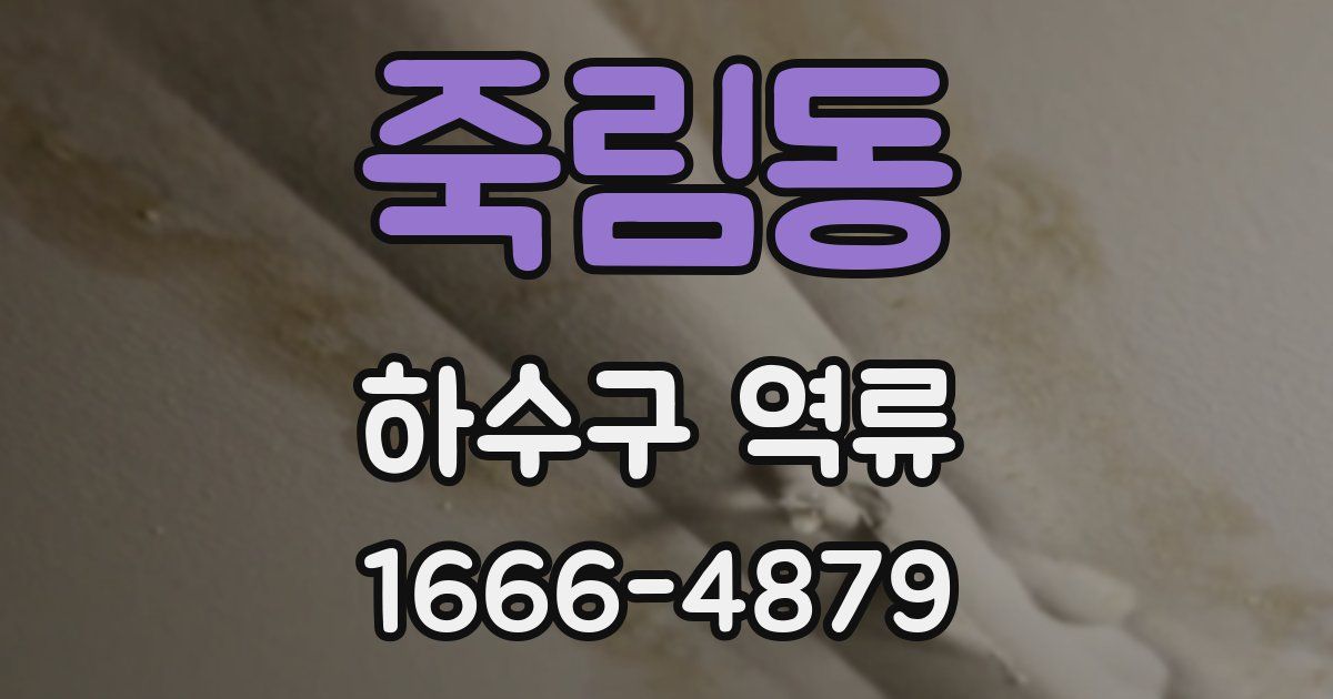 죽림동 하수구 역류