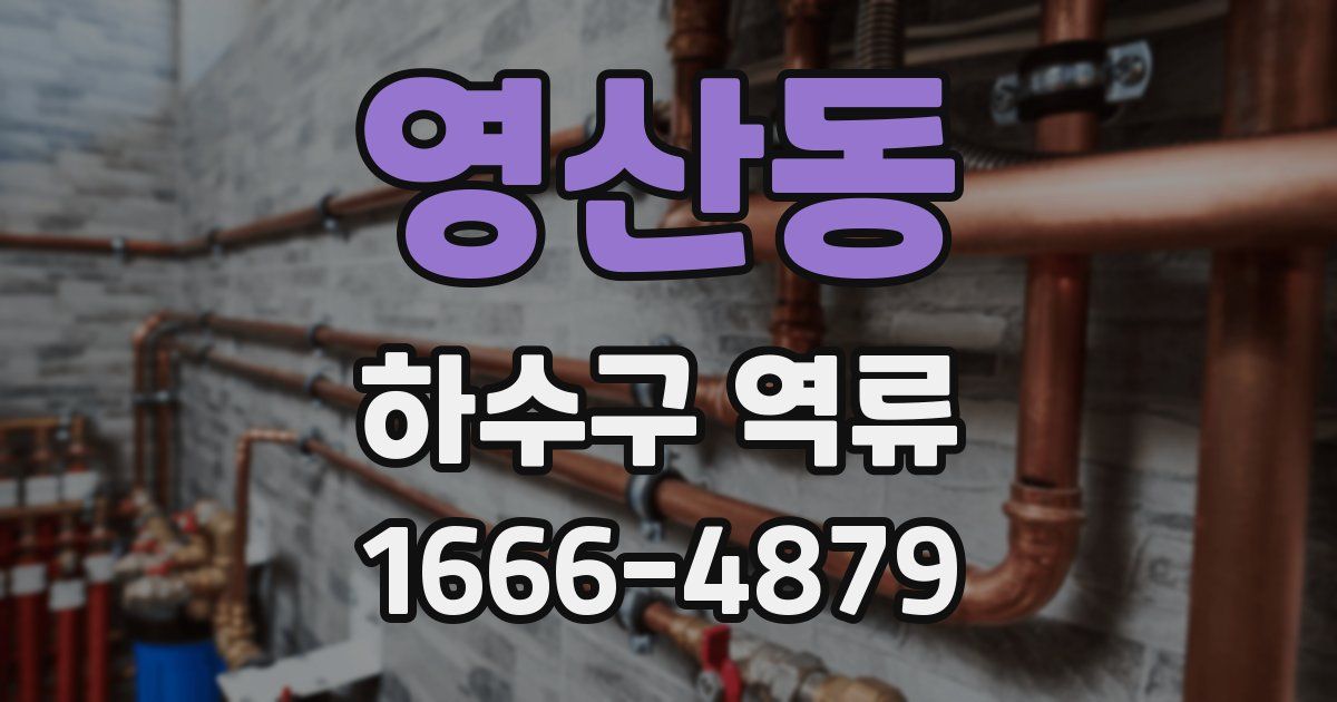 영산동 하수구 역류
