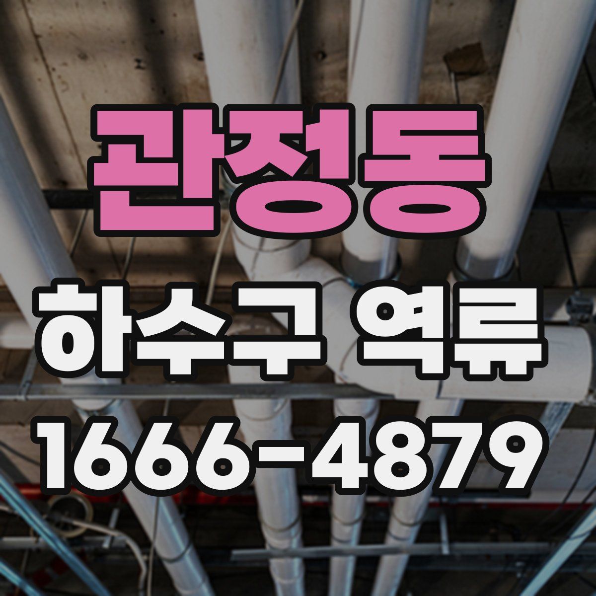 관정동 하수구 역류