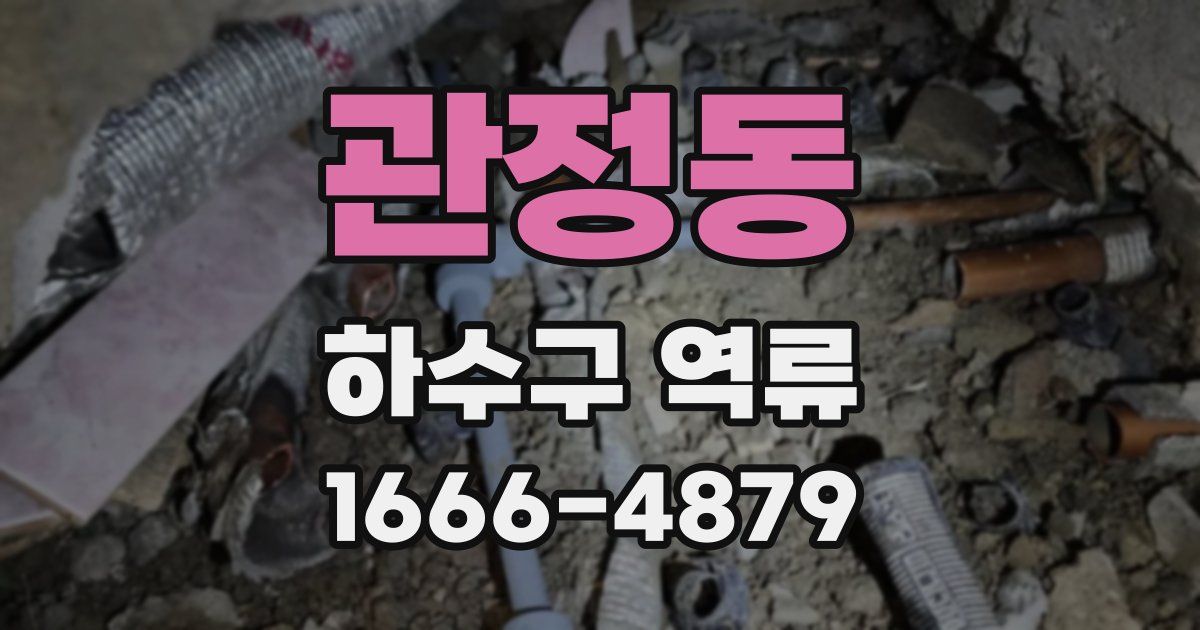 관정동 하수구 역류