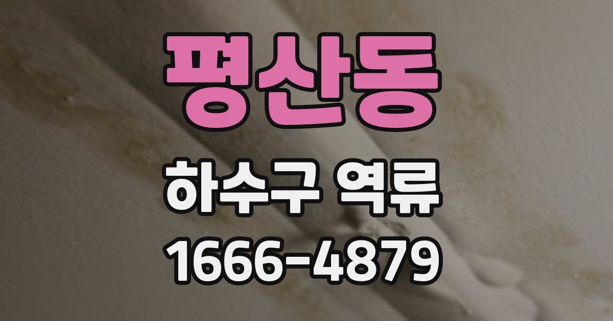 평산동 하수구 역류