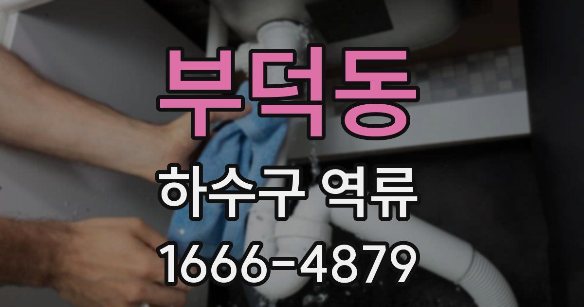 부덕동 하수구 역류