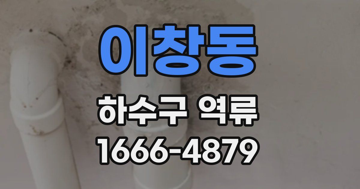 이창동 하수구 역류