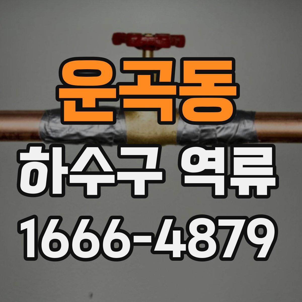 운곡동 하수구 역류