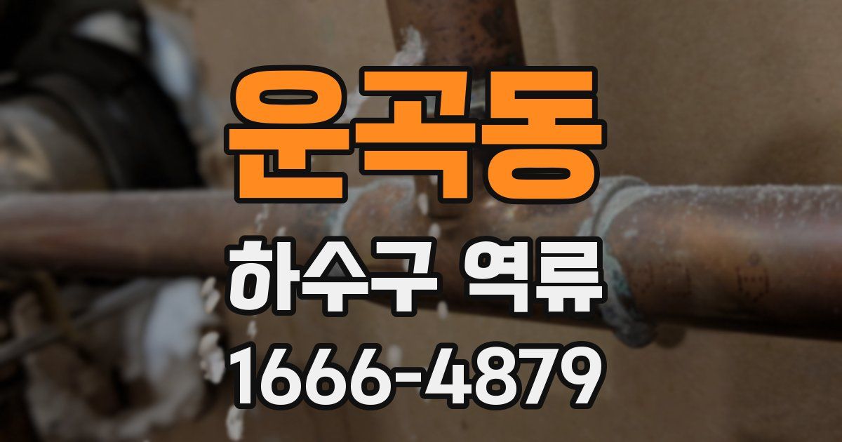 운곡동 하수구 역류