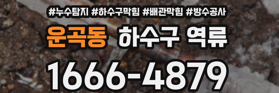 운곡동 하수구 역류