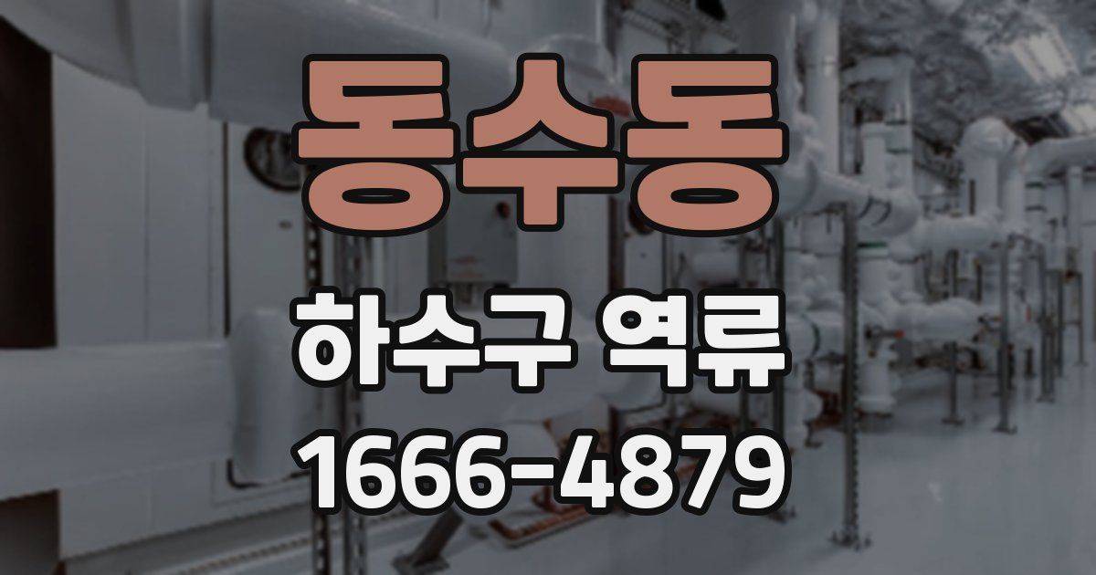 동수동 하수구 역류