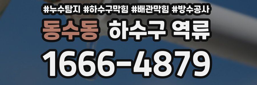 동수동 하수구 역류
