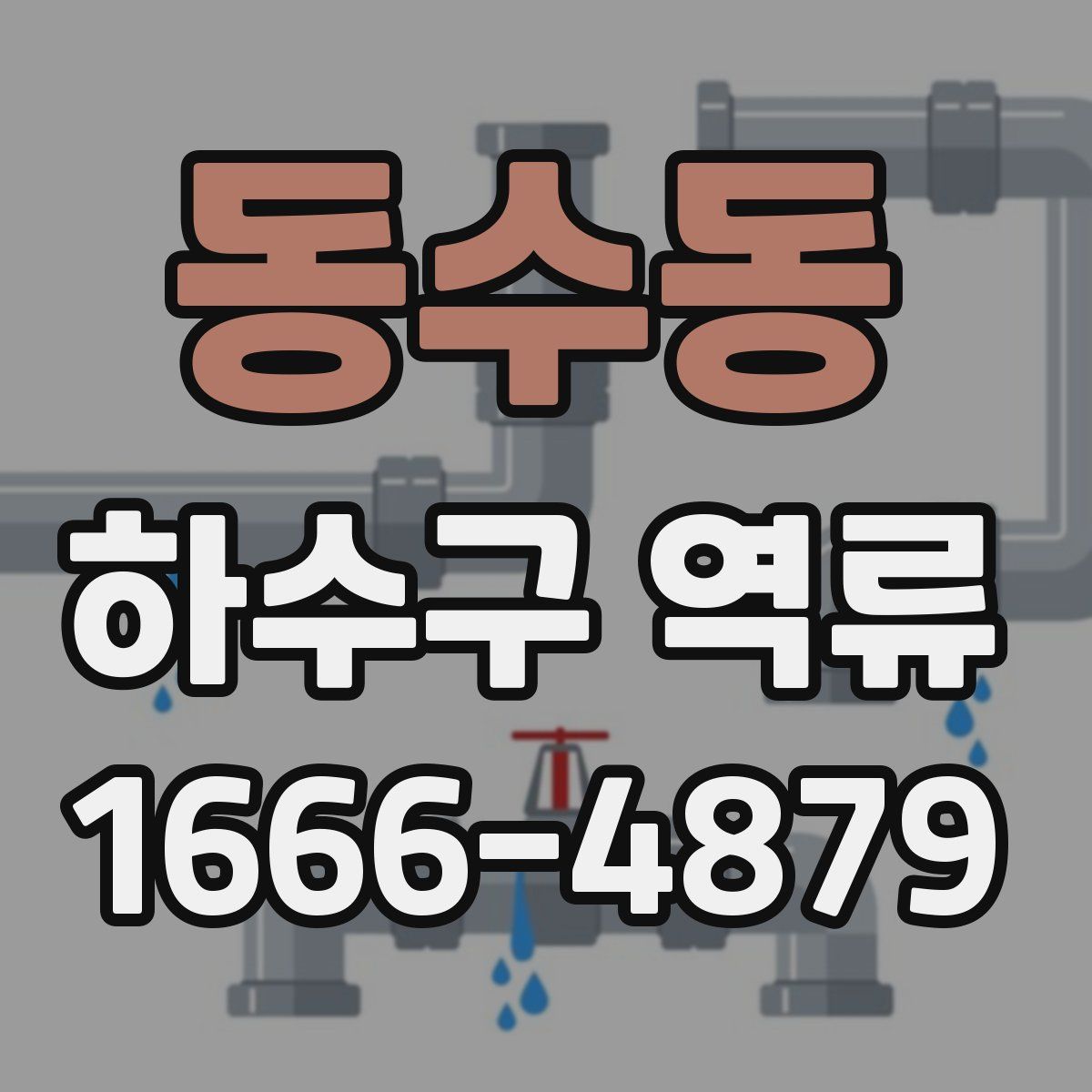 동수동 하수구 역류