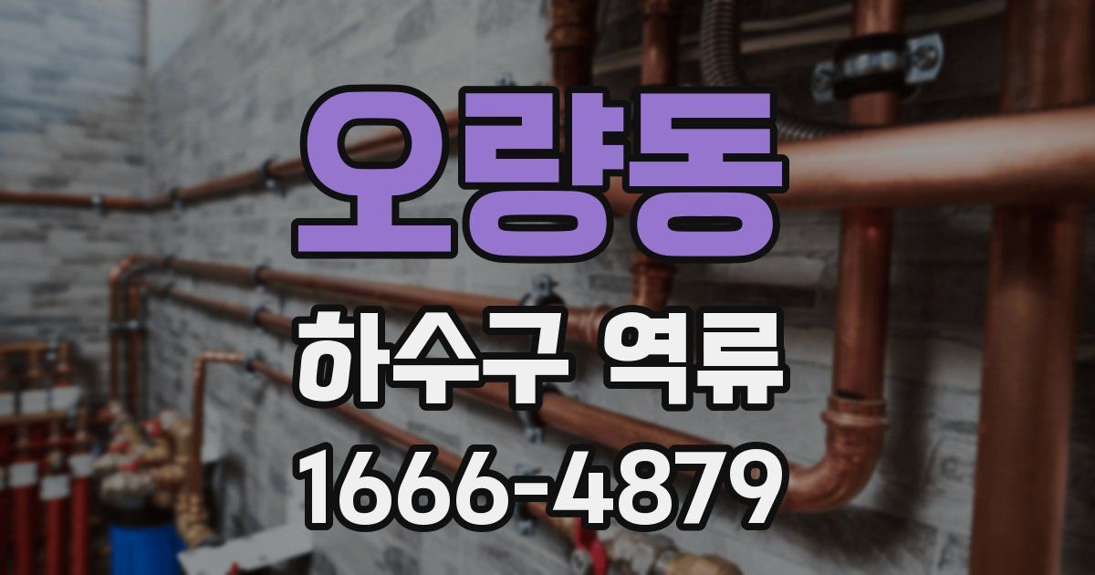 오량동 하수구 역류