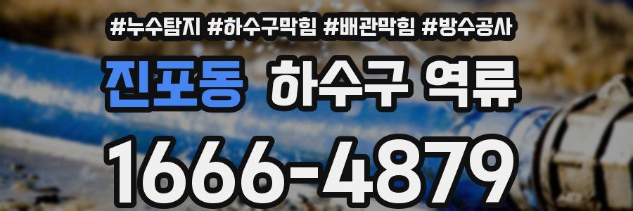 진포동 하수구 역류