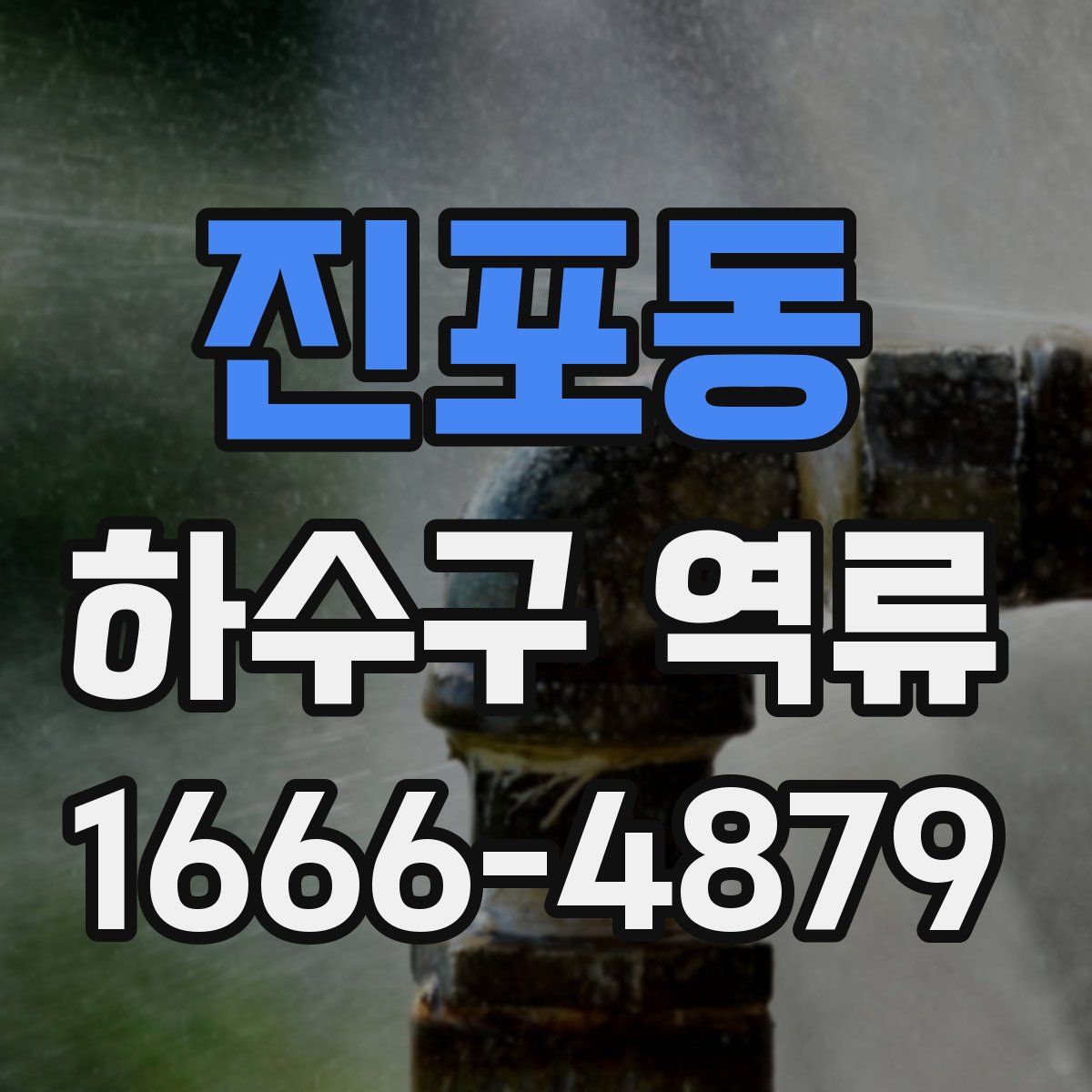 진포동 하수구 역류