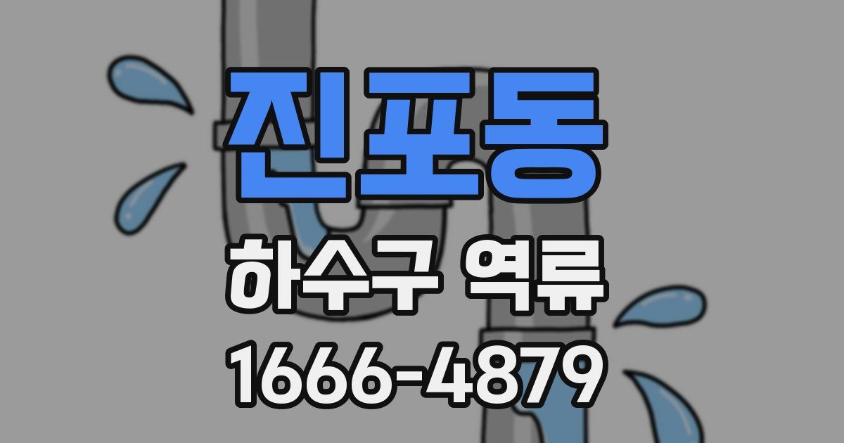 진포동 하수구 역류