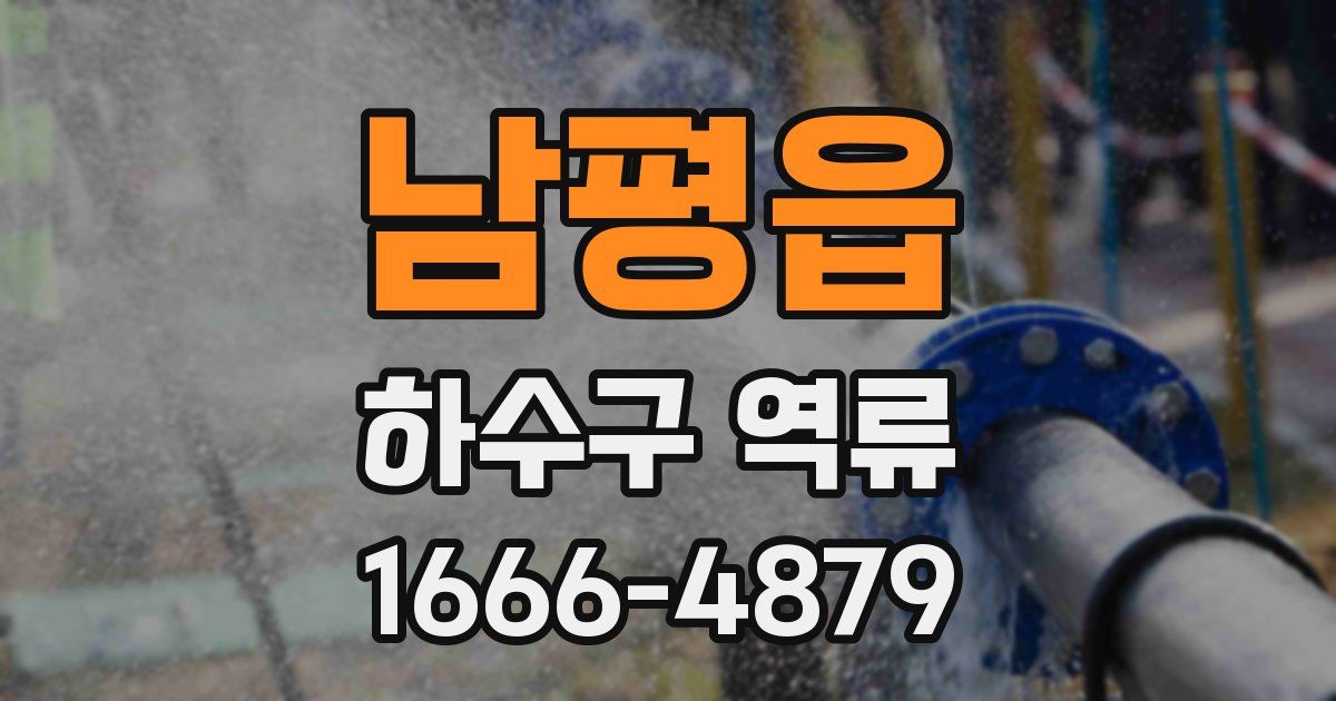 남평읍 하수구 역류