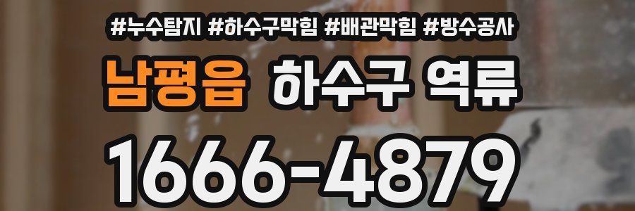 남평읍 하수구 역류