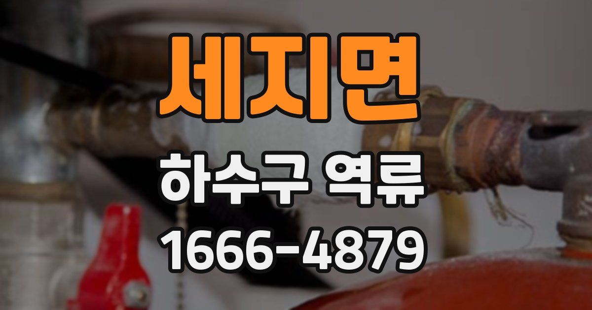 세지면 하수구 역류