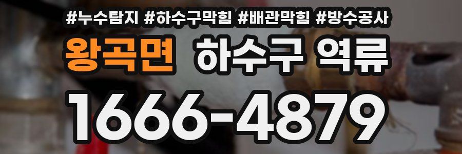 왕곡면 하수구 역류