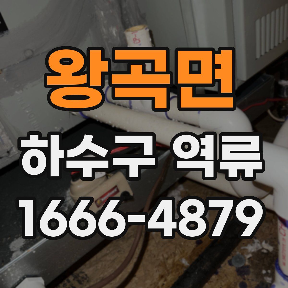 왕곡면 하수구 역류