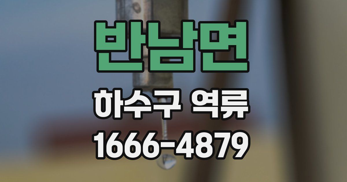 반남면 하수구 역류