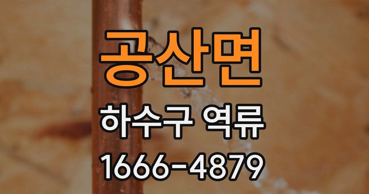 공산면 하수구 역류
