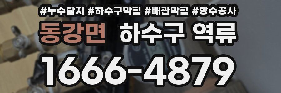 동강면 하수구 역류