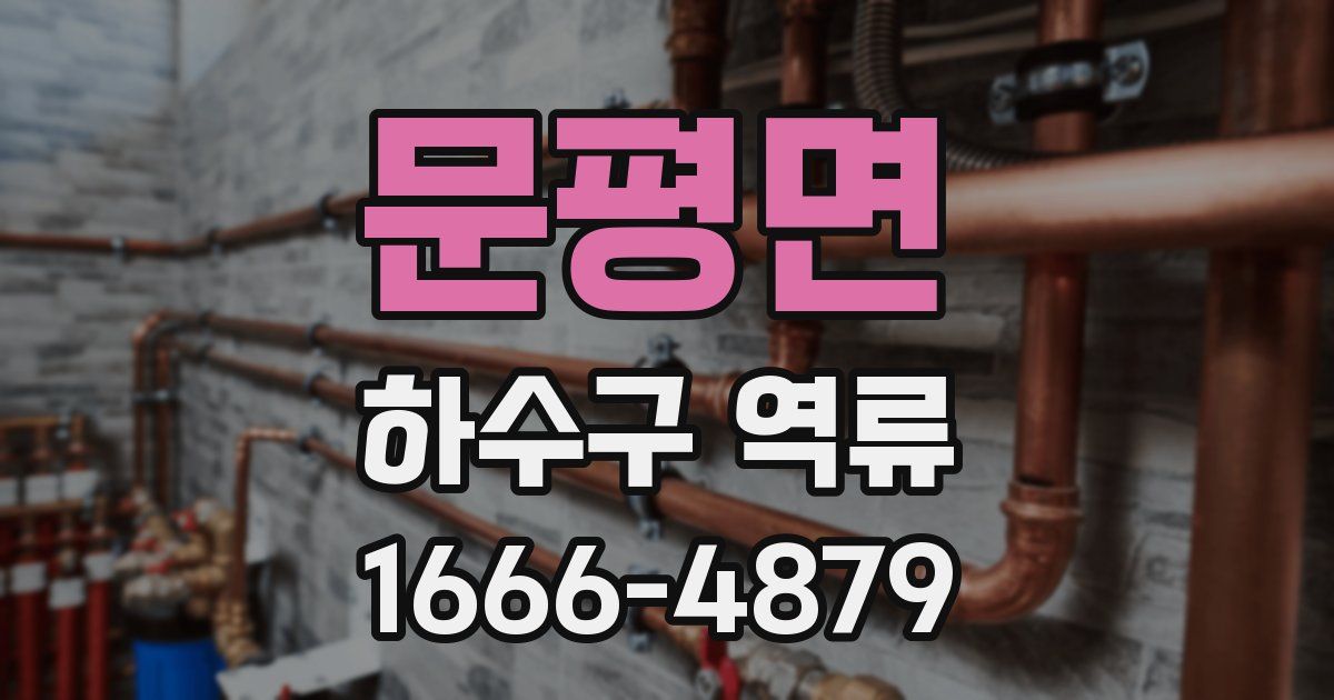 문평면 하수구 역류