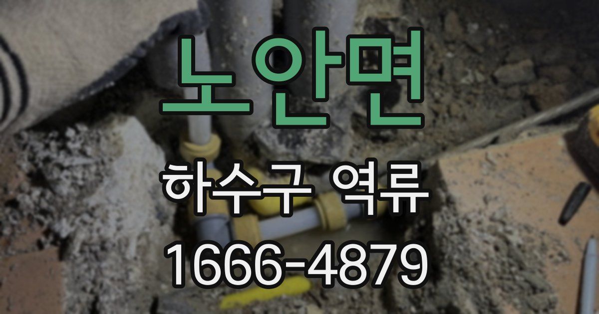 노안면 하수구 역류