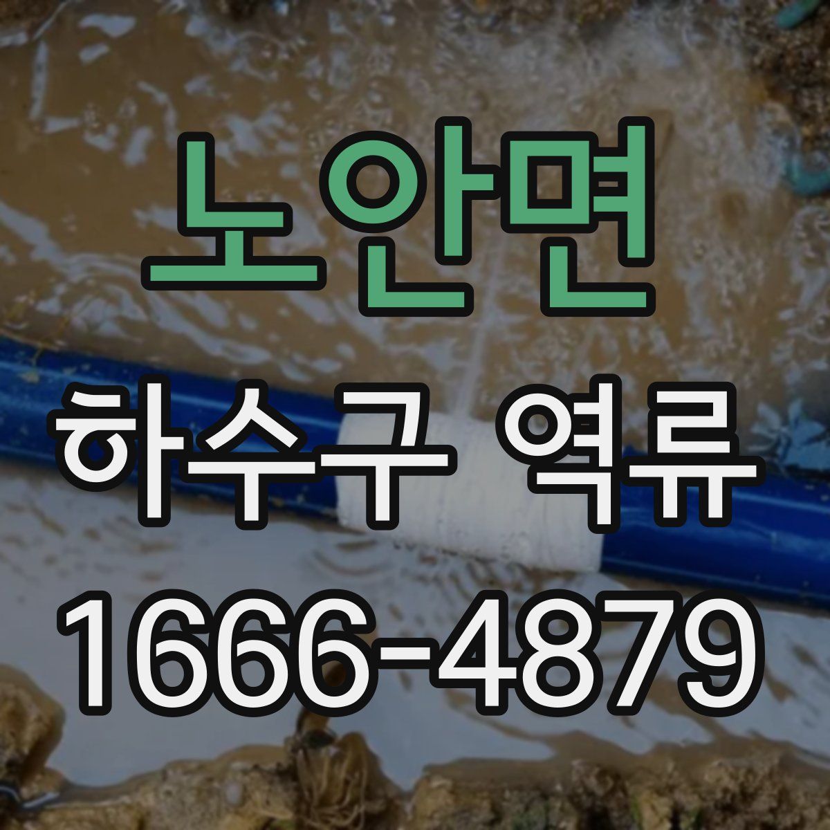 노안면 하수구 역류