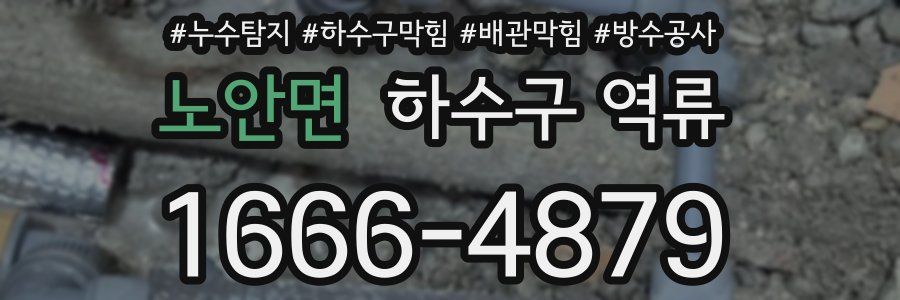 노안면 하수구 역류