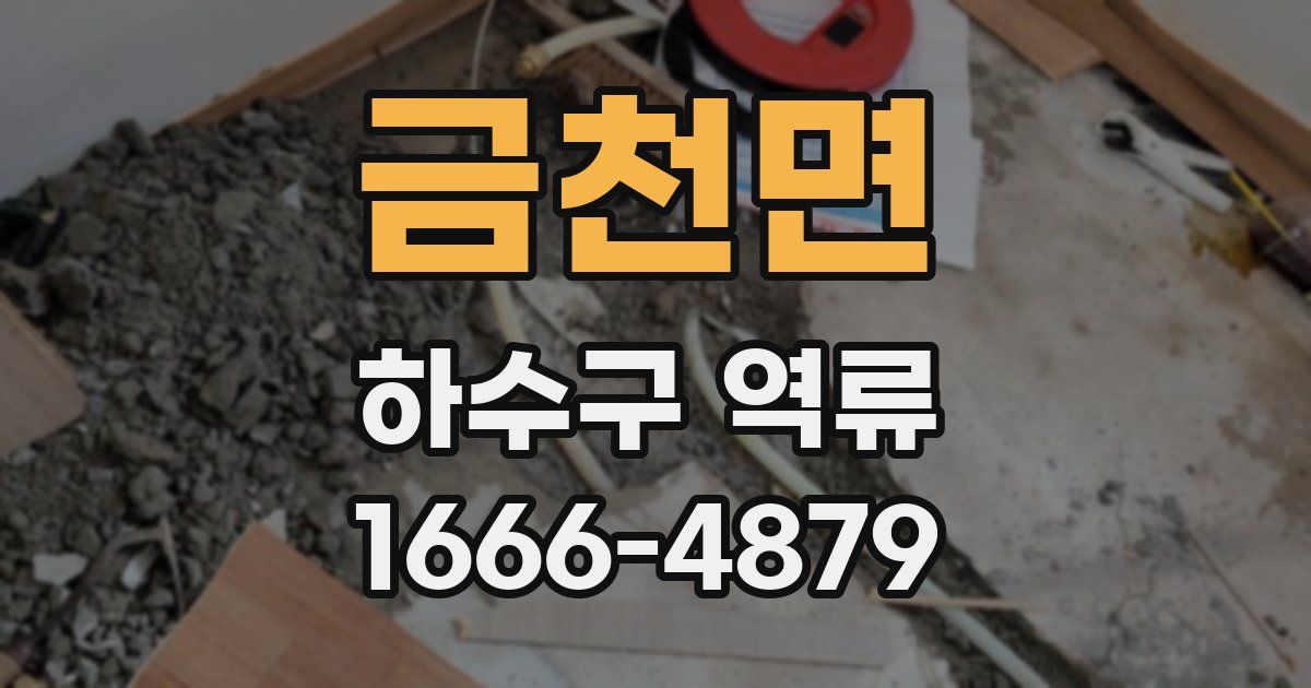 금천면 하수구 역류