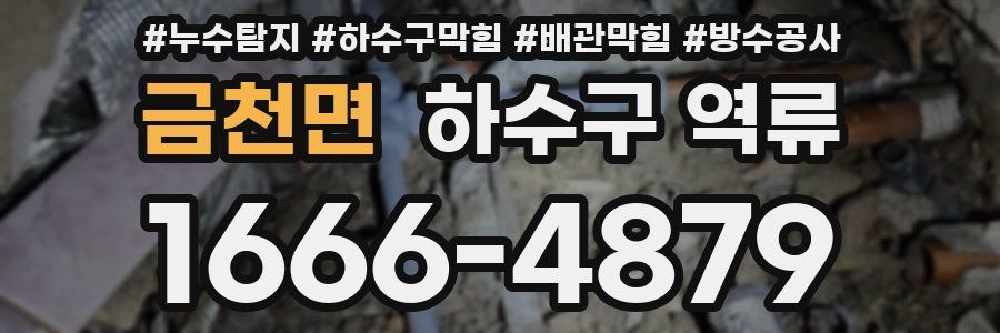 금천면 하수구 역류