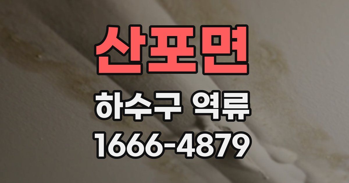 산포면 하수구 역류