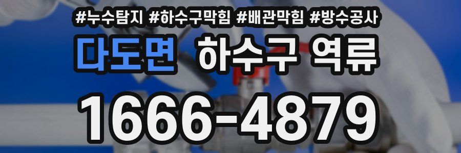 다도면 하수구 역류