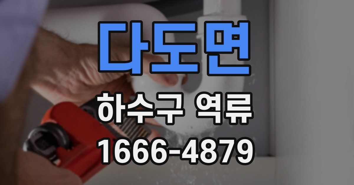 다도면 하수구 역류