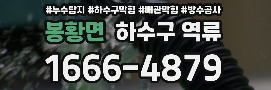 봉황면 하수구 역류