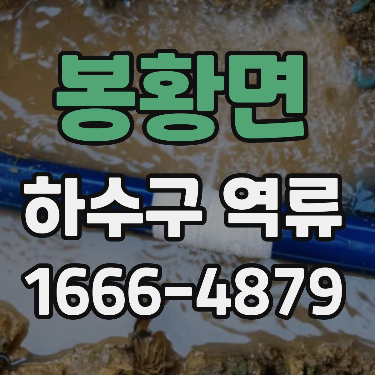 봉황면 하수구 역류