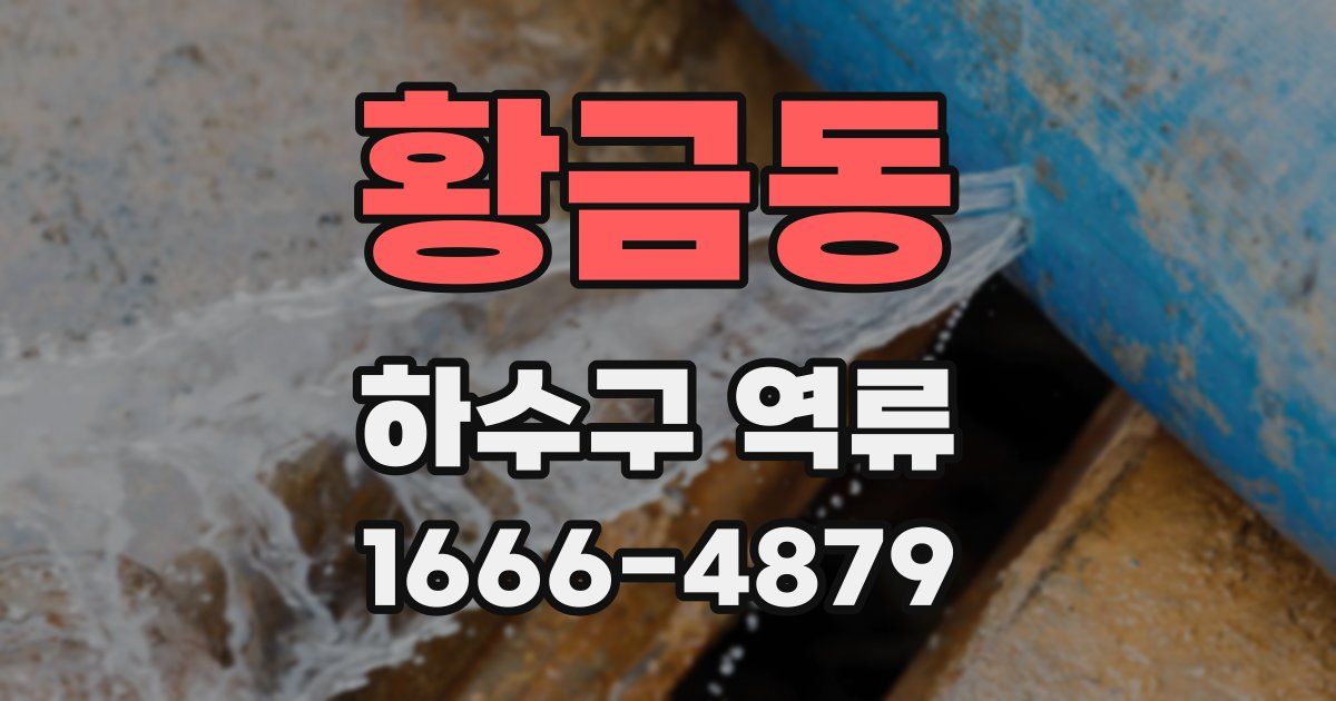 황금동 하수구 역류