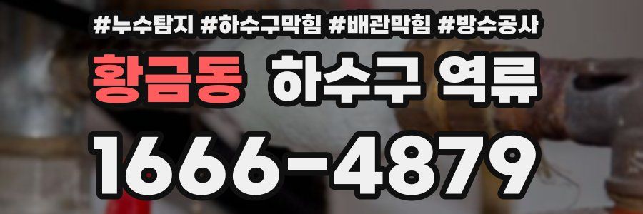 황금동 하수구 역류