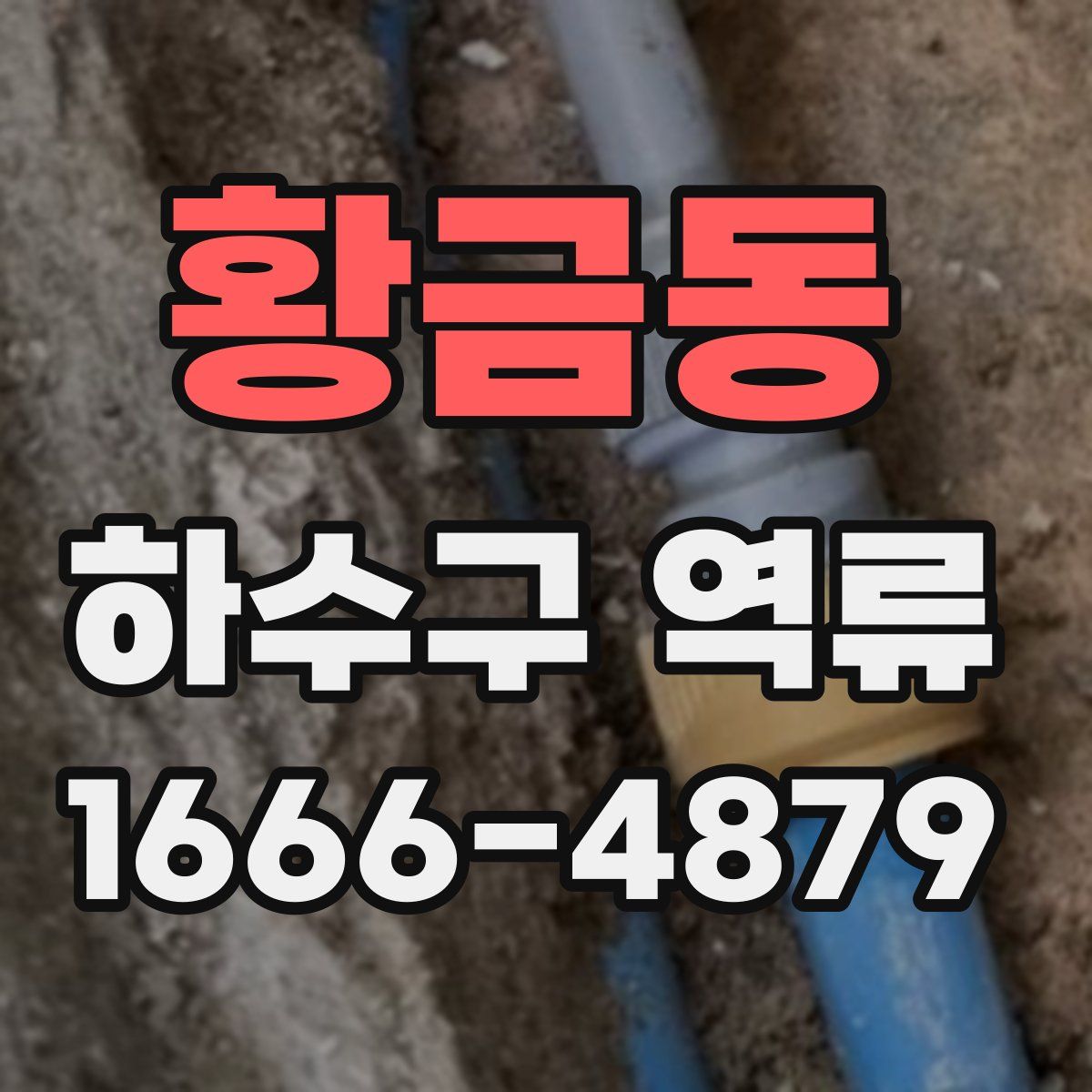 황금동 하수구 역류