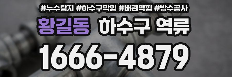 황길동 하수구 역류