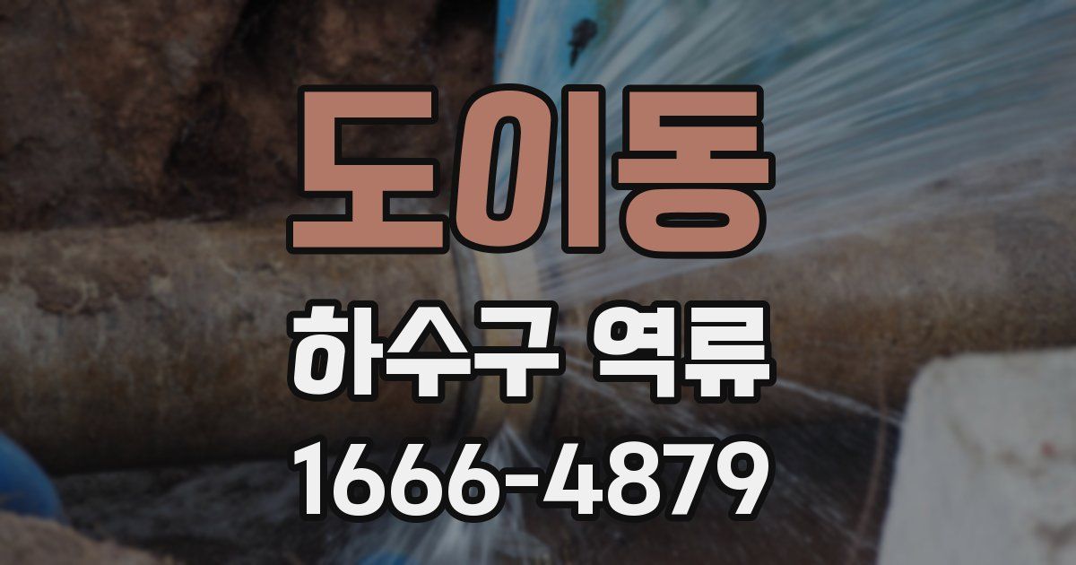 도이동 하수구 역류